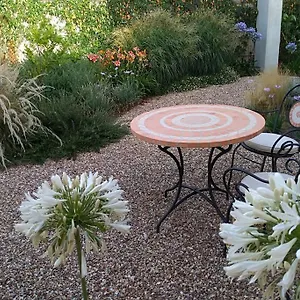 https://elicriso-riola-sardo.in-sardinia.net